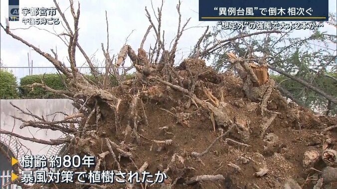 宇都宮市