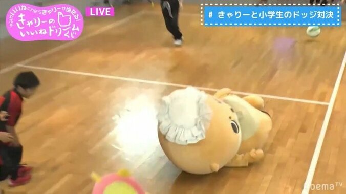 ちぃたん☆頭の”カメちゃん”ズリ落ちまくり、10回の落下にきゃりーが助言「縫ったほうがいいよ」 6枚目