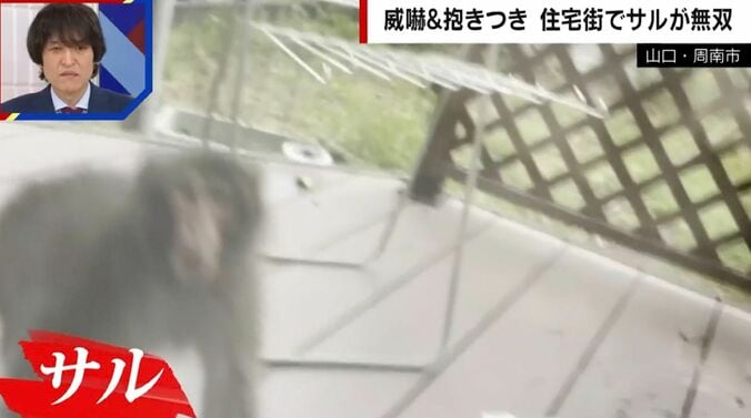 山口県・周南市