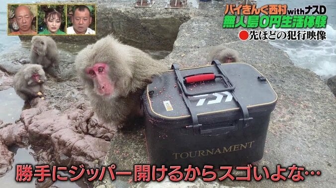 バイきんぐ西村を猿が挑発？ その小馬鹿にしているような表情に小峠英二「俺もムカついてきた！」 2枚目