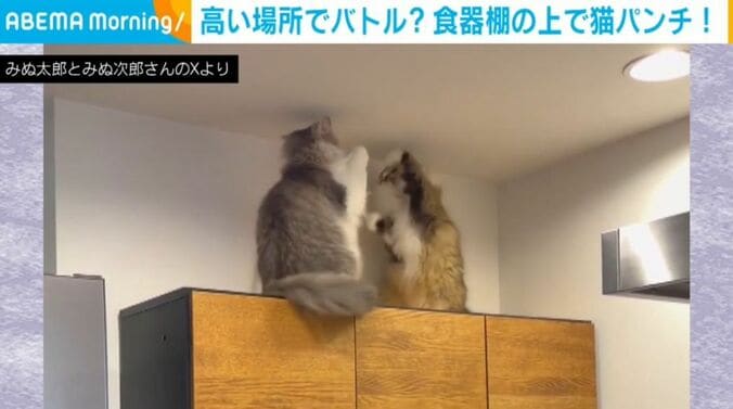みぬ太郎くん＆みぬ次郎くん