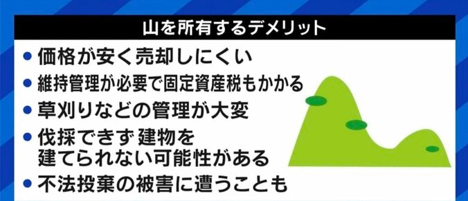 キャンプブームに乗って購入も後悔する若者…50万円で1000坪以上の物件もある「山」、それでも気軽に手を出してはいけないワケ 9枚目