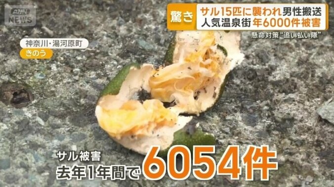 神奈川・湯河原町で年6000件被害
