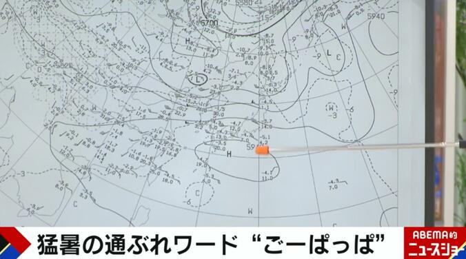 【写真・画像】静岡で40.0℃も…関東や東海で“災害級の暑さ” 今年はさらに暑くなる可能性？有効な熱中症対策は？気象予報士が解説　4枚目