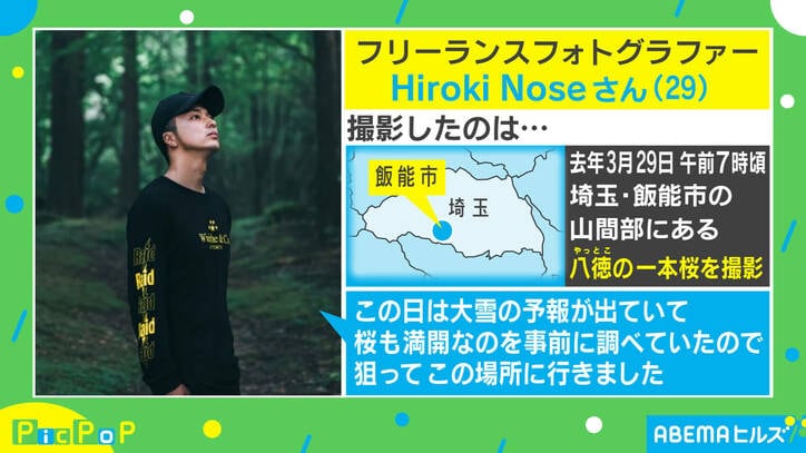 「桜と雪」自然の奇跡を捉えた“コラボ写真”に感動の声「この世とは思えない美しさ」