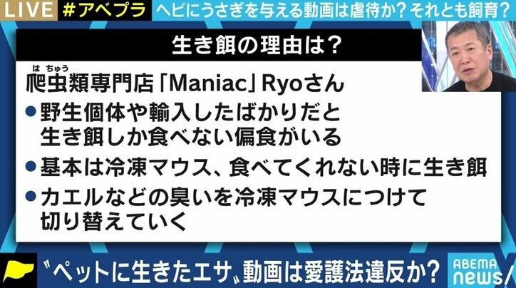 “生きたエサ食べさせる動画” 一体どこまで制限すべき? YouTuberを刑事告発した動物愛護団体代表と議論