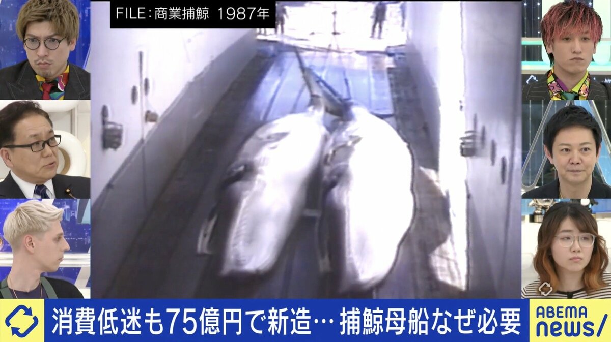 クジラ肉消費低迷しているのになぜ？ 75億円かけ国産捕鯨母船を新造