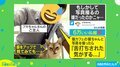 写真を撮るのが嫌だった? 猫の“舌打ち顔”に同情の声 投稿主「終始、塩対応でした」