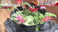 経済ニュース - 見た目も重視の鍋料理続々！ご家庭でも出来ます | 動画視聴は【Abemaビデオ(AbemaTV)】