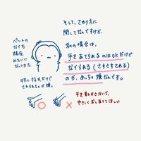 はあちゅう『妊婦だけど、お腹、触られたくない(2/3)』