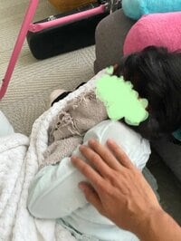 市川海老蔵『昨日の地震で』