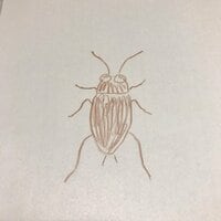 水野真紀『ゴキブリ発見』