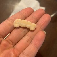 ラミレス美保『私の緊急事態発生』