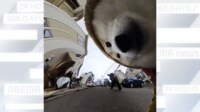 【映像】“超広角”360度カメラで柴犬の散歩を撮ると…