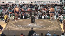 「大銀杏デカっ」「思わず二度見した」194センチ巨漢力士、立派な大銀杏にファン驚嘆