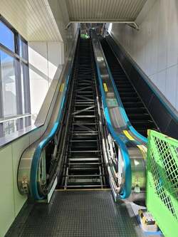  テツandトモのトモ、なかなか見れないかもと思って撮影したもの「初めて見たかもしれません」 