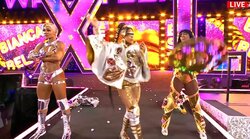 【画像】女子レスラー、驚異のシックスパック（複数）