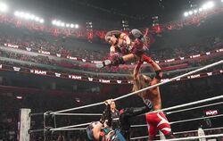 屈強男子、日本人女子レスラーを場外に… 未知の合体技で“芸術的”エルボー炸裂「あんなに浮くのか！」騒然