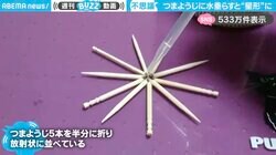 「マジックだあ！」つまようじ5本とスポイトの水を使った“実験動画”に「夏休みに最高のポスト」「原理がわかると一層おもろい」と大反響
