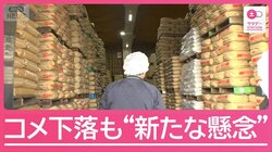 「赤字で販売」ついにコメ価格下落も…“3月値上げ”にイラン情勢が追い打ち