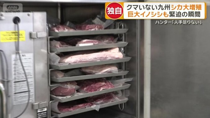 加工が追いついていない実情