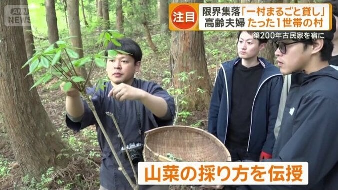 山菜の採り方を伝授