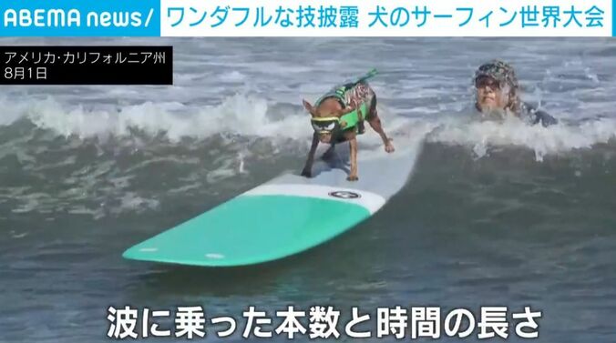 犬