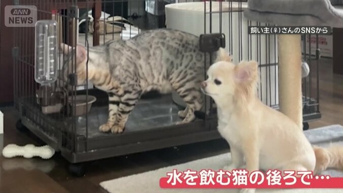 お水を飲むため、順番待ち