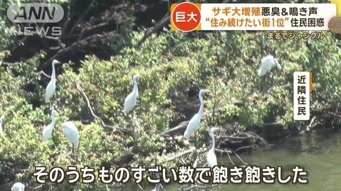 網戸には羽の付着も…