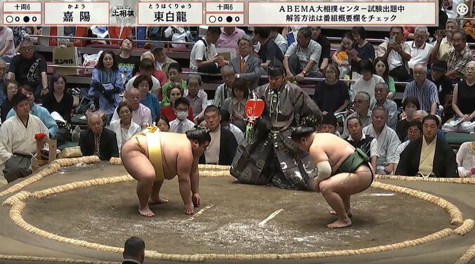 【写真・画像】　1枚目