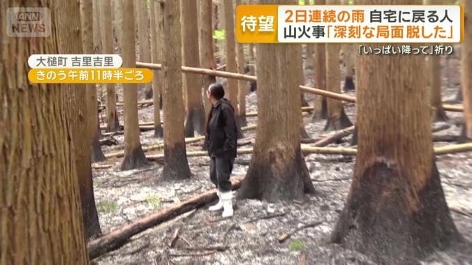 住民の自宅の裏山にある神社