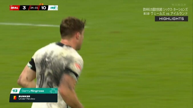 退場になったリングローズ