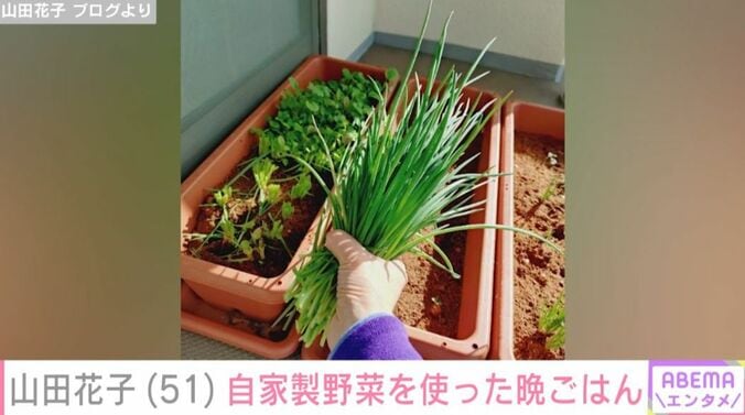 山田花子 ブログより