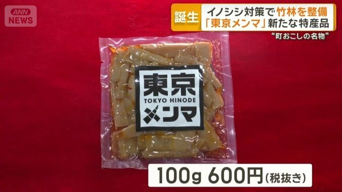 「東京メンマ」