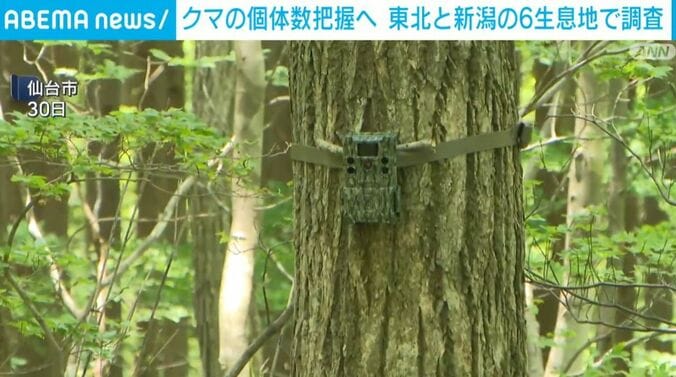 設置されたカメラ