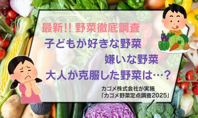 野菜定点調査2025