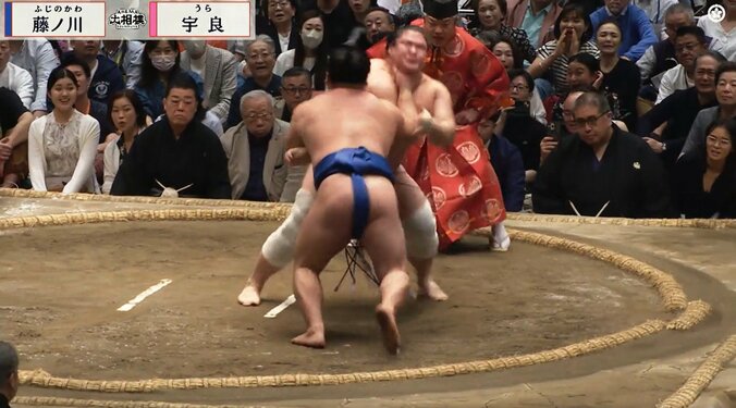 【写真・画像】　1枚目