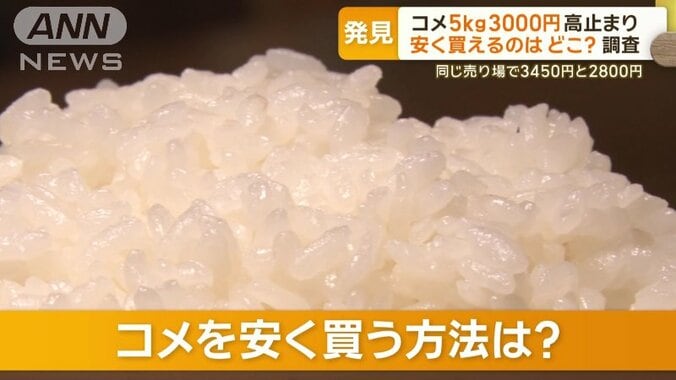 コメ“5kg3000円” 依然高止まりも…新米流通で「古米」がお得に購入可能 1枚目