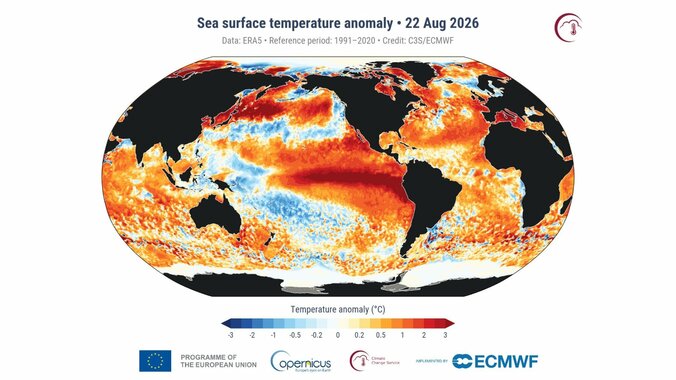 【速報】世界の海面水温が観測史上最高 8月に記録は異例 エルニーニョも影響か 1枚目