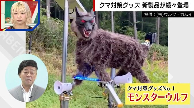 提供：（株）ウルフ・カムイ
