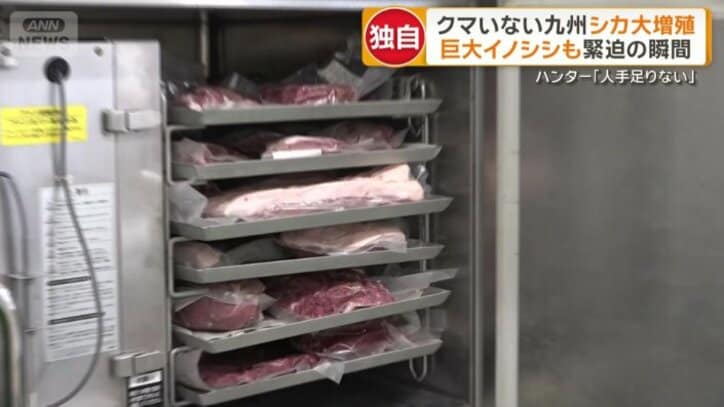 加工が追いついていない実情