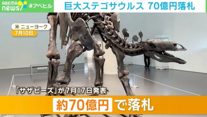 【写真・画像】巨大ステゴサウルスの化石 70億円で落札！ 一体、何に使うのか？　1枚目