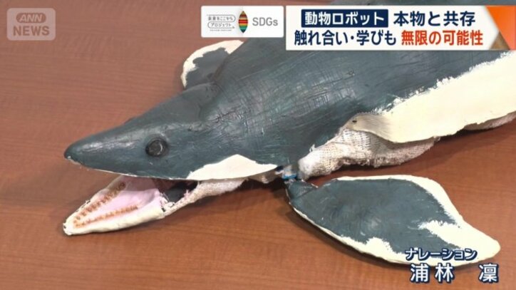 古代生物「ワカヤマソウリュウ」のロボット
