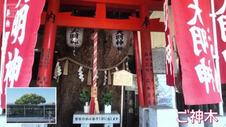 ご神木