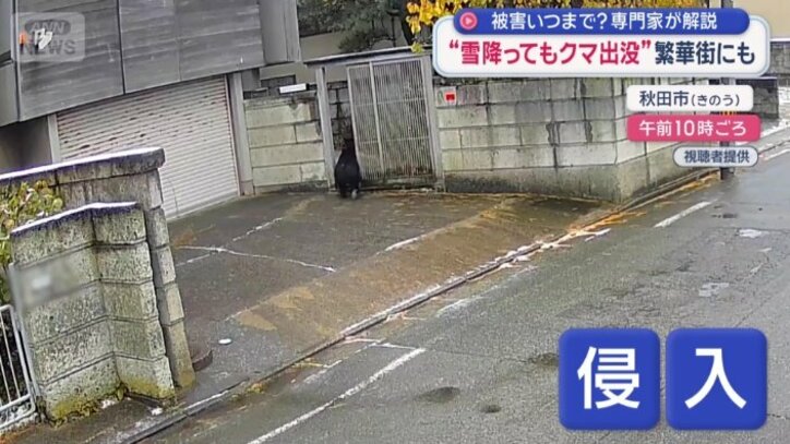 開いていた門を抜け住宅の敷地に侵入
