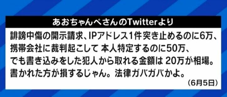 「コメント欄は責任追及がしやすい」「メディアは政治が悪用しないよう監視を」侮辱罪の厳罰化、期待と残る課題は?弁護士に聞く