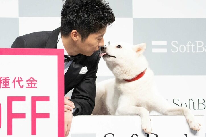 田中圭&“お父さん”の可愛らしいキスに、報道陣ほっこり