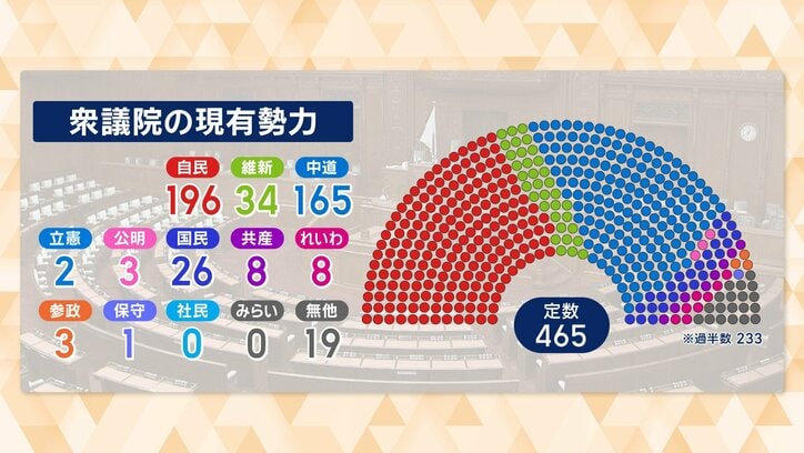 衆議院の現有勢力