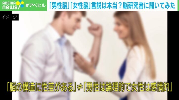 「男性脳」「女性脳」言説は本当？脳研究者「安直な二元論は避けて」脳構造の“男女差”は認知・行動の差に直結せず