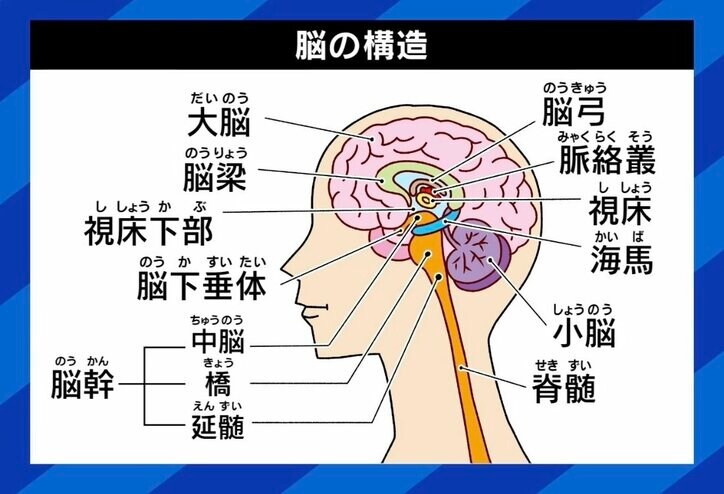 【写真・画像】 6枚目